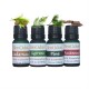 Woodsy Gorgeous - Essential Oil